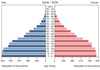 population pyramid