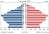 population pyramid