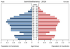 population pyramid