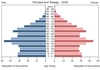 population pyramid