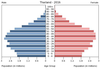 population pyramid