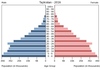 population pyramid