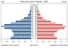 population pyramid