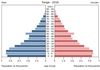 population pyramid