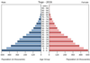 population pyramid
