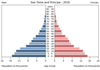 population pyramid