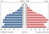population pyramid