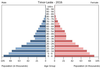 population pyramid