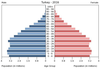 population pyramid