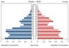 population pyramid