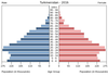 population pyramid
