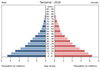 population pyramid
