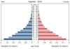 population pyramid
