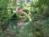 A hidden pool in the Secret Garden at Blenheim Palace.