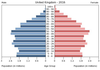 population pyramid