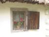 Geranium blossoms peer through a cottage window at the outdoor Museum of Folk Architecture and Life in Pyrohiv, just south of Kyiv.