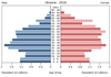 population pyramid