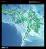 Turbid waters from the third-longest river system in the world spill out into the Gulf of Mexico where their suspended sediment is deposited to form the Mississippi River Delta. Like the webbing on a duck's foot, marshes and mudflats in this 2001 satellite photo prevail between the shipping channels that have been cut into the delta. The deltaic progression has advanced South Louisiana's coastline 25-80 km (15-50 mi) over 5,000 years. In 2005, Hurricanes Rita and Katrina destroyed much of the delta and rising sea levels have increased erosion. Image courtesy of USGS.