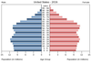population pyramid