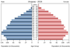 population pyramid