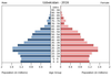 population pyramid