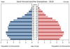 population pyramid