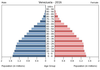 population pyramid