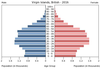 population pyramid