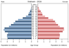 population pyramid