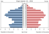 population pyramid