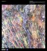 On the edge of the Kalahari Desert, sand dunes are encroaching onto once-fertile lands in the north. Healthy vegetation appears red in this false color satellite image; in the center, notice the lone red dot. It is the result of a center-pivot irrigation system, evidence that at least one optimistic farmer continues to work the fields despite the approaching sand. Image courtesy of USGS.