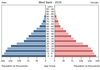 population pyramid