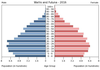 population pyramid