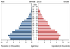 population pyramid