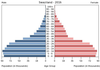 population pyramid