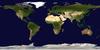 A seamless image mosaic of the Earth. This spectacular view is the most detailed true-color image of the entire Earth to date. Using a collection of satellite-based observations, scientists and visualizers stitched together months of observations of the land surface, oceans, sea ice, and clouds into a seamless, true-color mosaic of every square kilometer of our planet. Much of the information contained in this image came from a single remote-sensing device - NASA's Moderate Resolution Imaging Spectroradiometer, or MODIS, flying over 700 km above the earth onboard the Terra satellite. The land and coastal ocean portions of these images are based on surface observations collected from June through September 2001 and combined, or composited, every eight days to compensate for clouds that might block the sensor's view of the surface on any single day. Two different types of ocean data were used in these images: shallow water true color data and global ocean color (or chlorophyll) data. Image courtesy of NASA/Goddard Space Flight Center Scientific Visualization Studio.