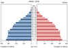 population pyramid