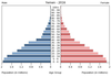 population pyramid