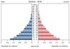 population pyramid
