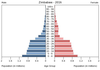 population pyramid