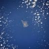 The largest of the three Volcano Islands, Iwo Jima is seen here from the north. The island is about 8 km (5 mi) long and 4 km (2.5 mi) wide, and covers an area of 21 sq km (8 sq mi). Mount Suribachi (167 m; 546 ft high), on the south side of the island, is an extinct volcano. Iwo Jima was the scene of one of the bloodiest battles in the Pacific Theater of World War II. Image courtesy of NASA.